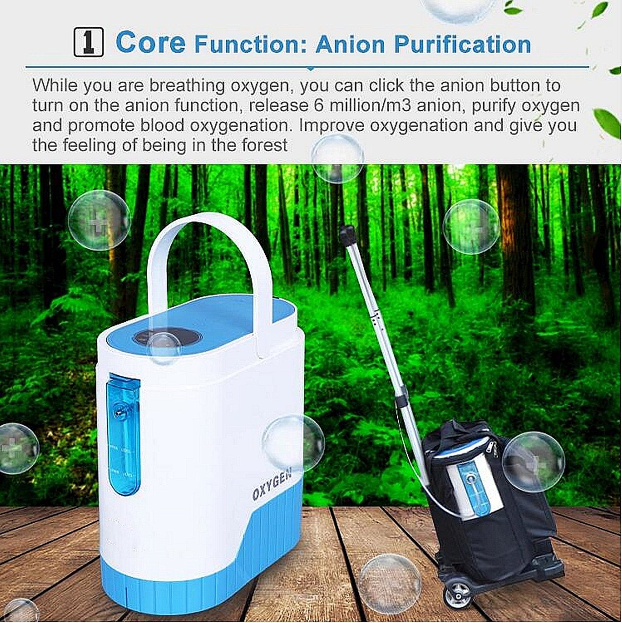Portable Oxygen Concentrator