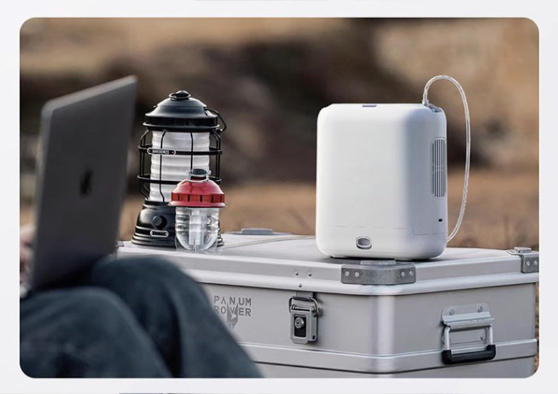 portable oxygen concentrator with battery