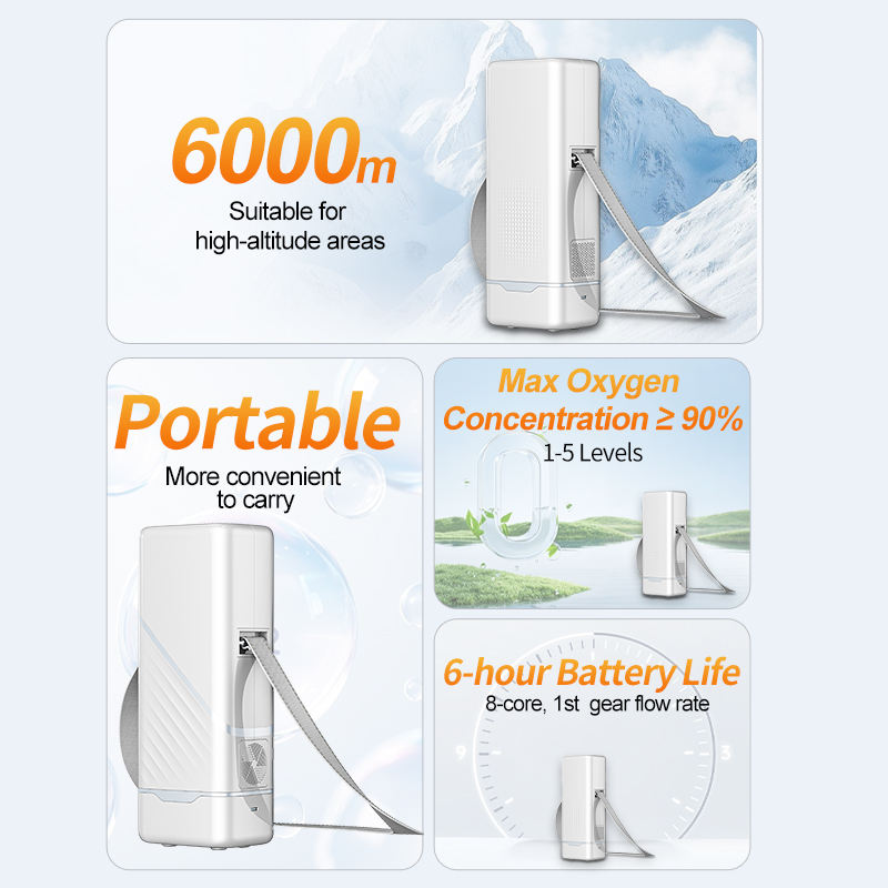 Portable Oxygen Concentrator Constant Flow Battery Backup 1009S