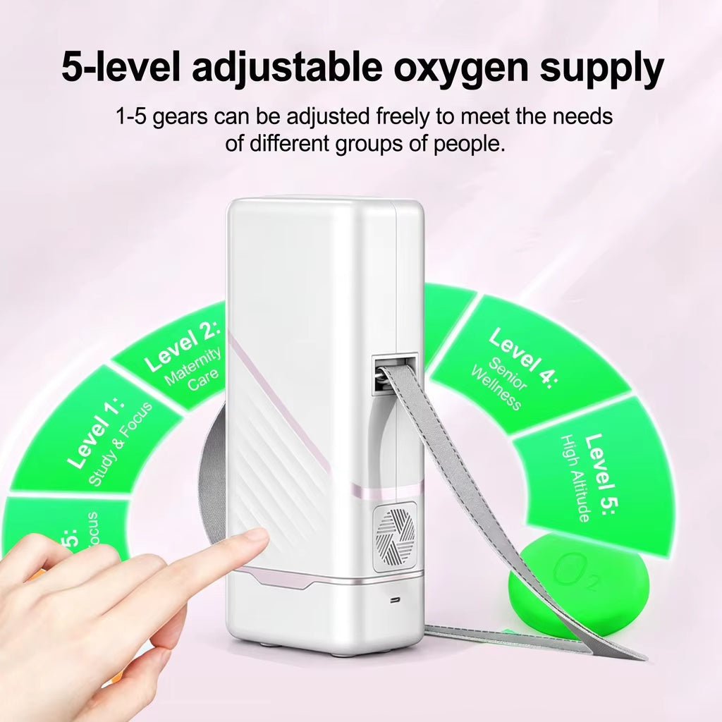 Portable Oxygen Concentrator Constant Flow Battery Backup 1009S
