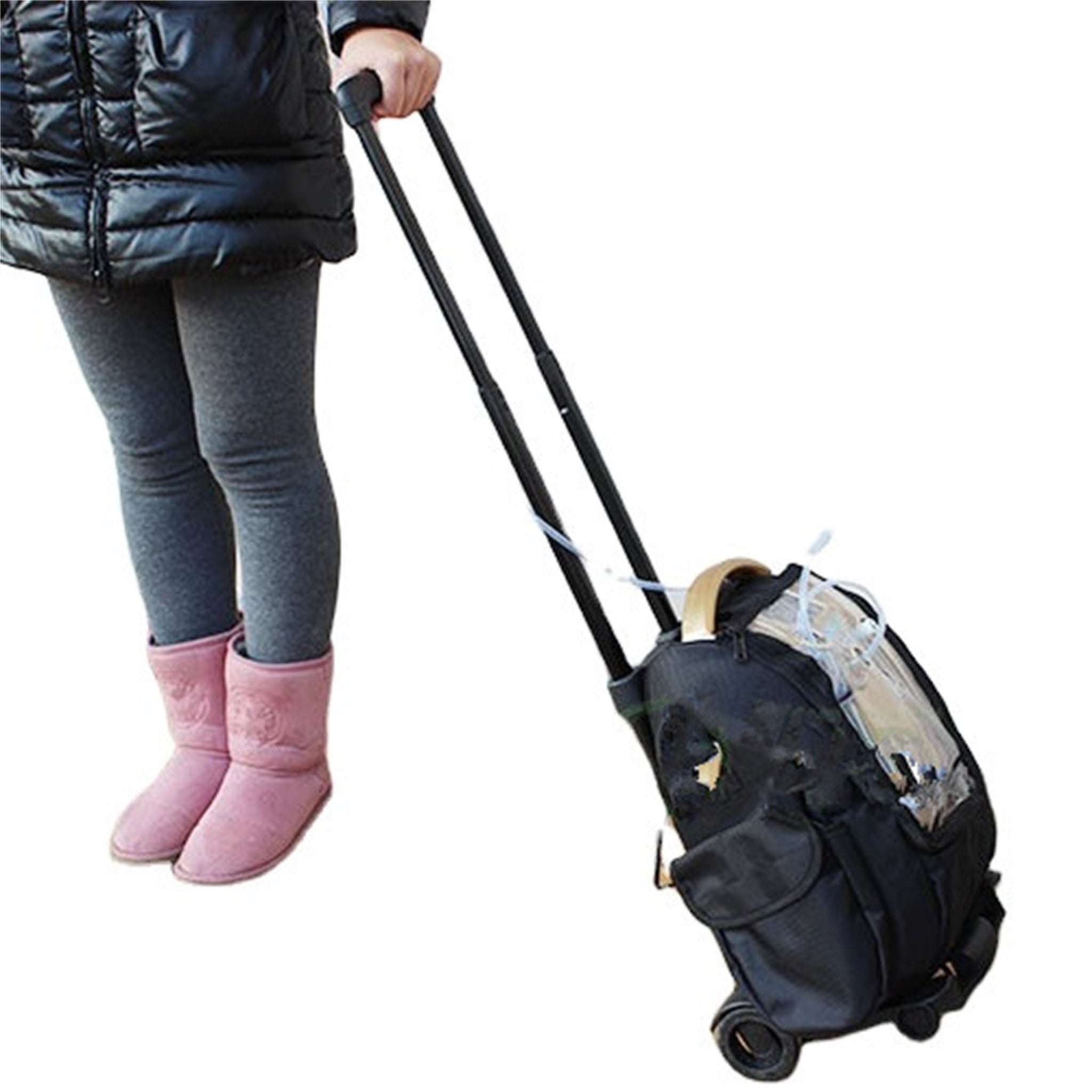 Portable Oxygen Concentrator